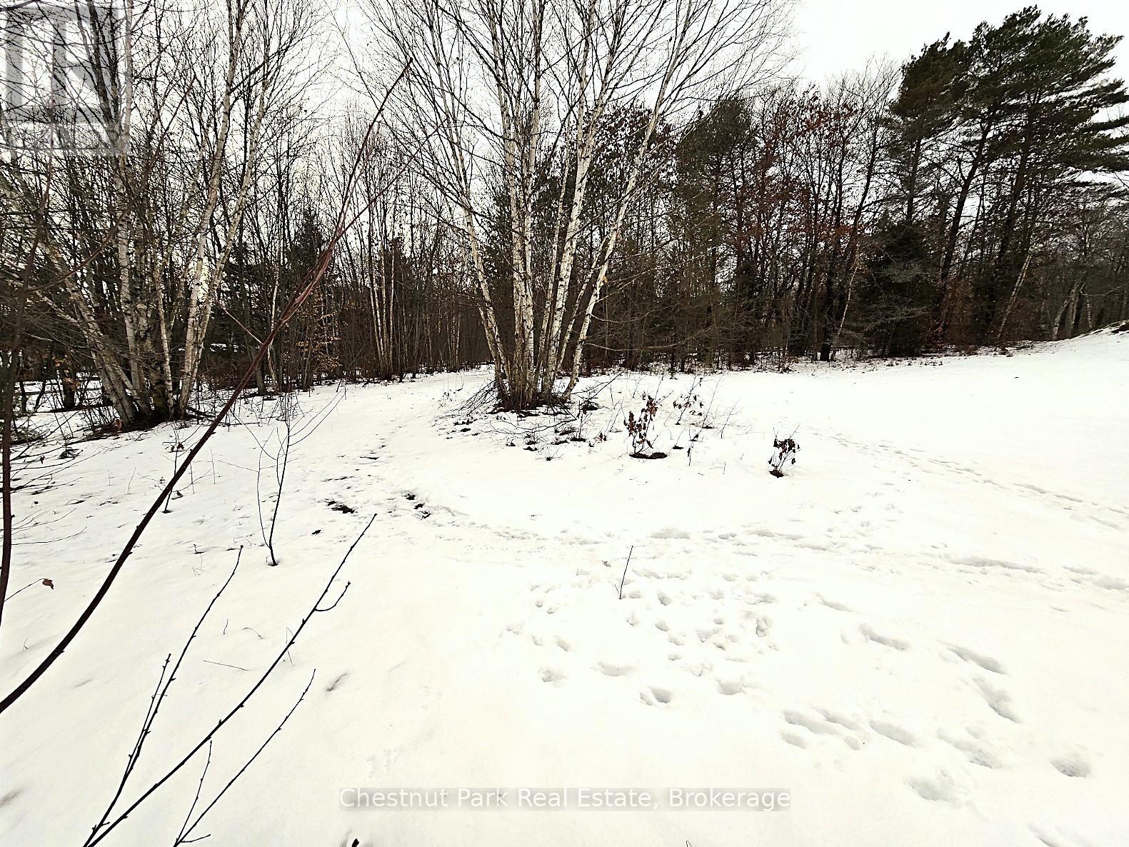 59 Paget Street, Sundridge, Ontario  P0A 1Z0 - Photo 9 - X11903361