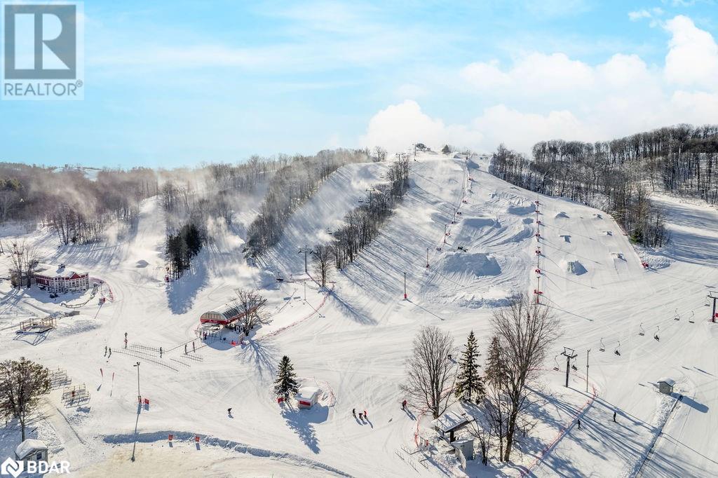 12 Birch Grove Drive, Horseshoe Valley, Ontario  L4M 4Y8 - Photo 43 - 40669181