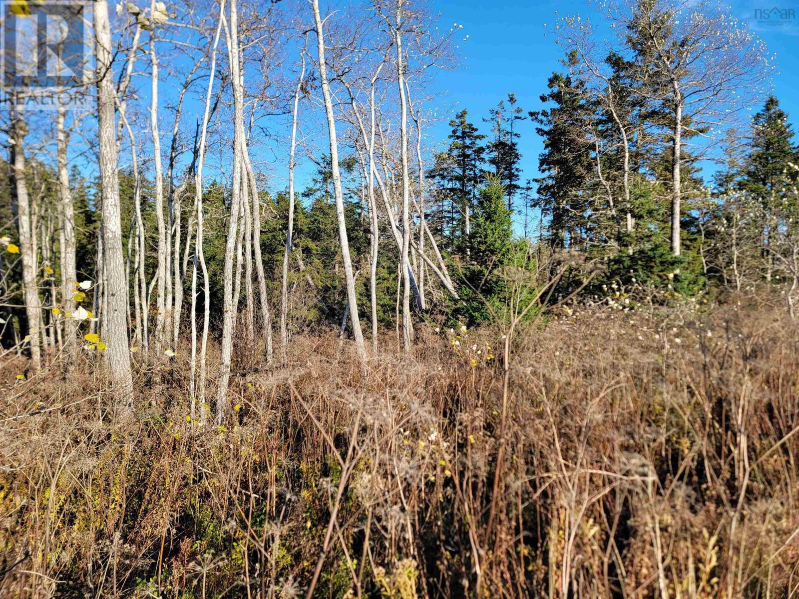 Bona Road, Lower L'ardoise, Nova Scotia  B0E 1W0 - Photo 3 - 202408377