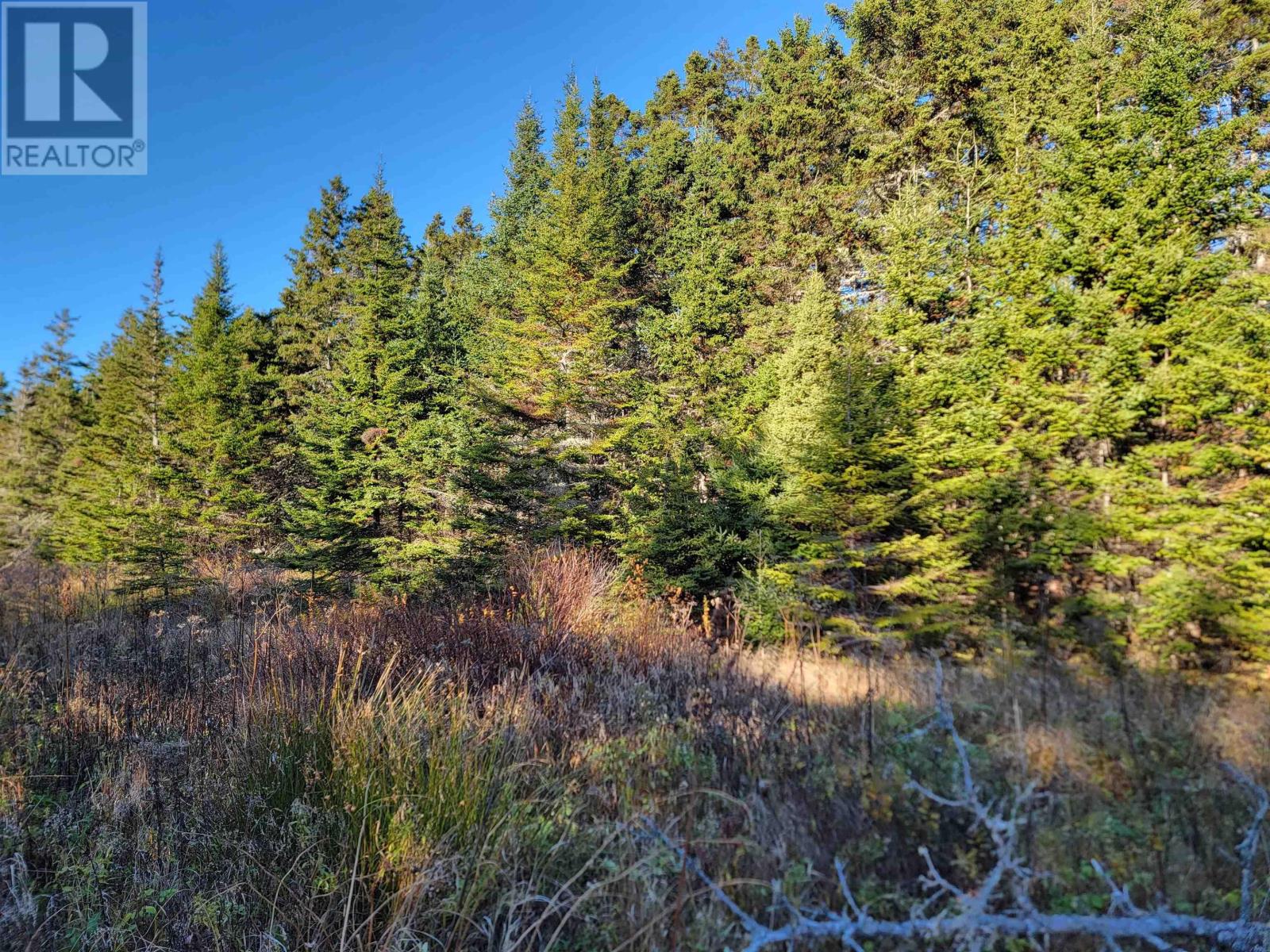 Bona Road, Lower L'ardoise, Nova Scotia  B0E 1W0 - Photo 4 - 202408377