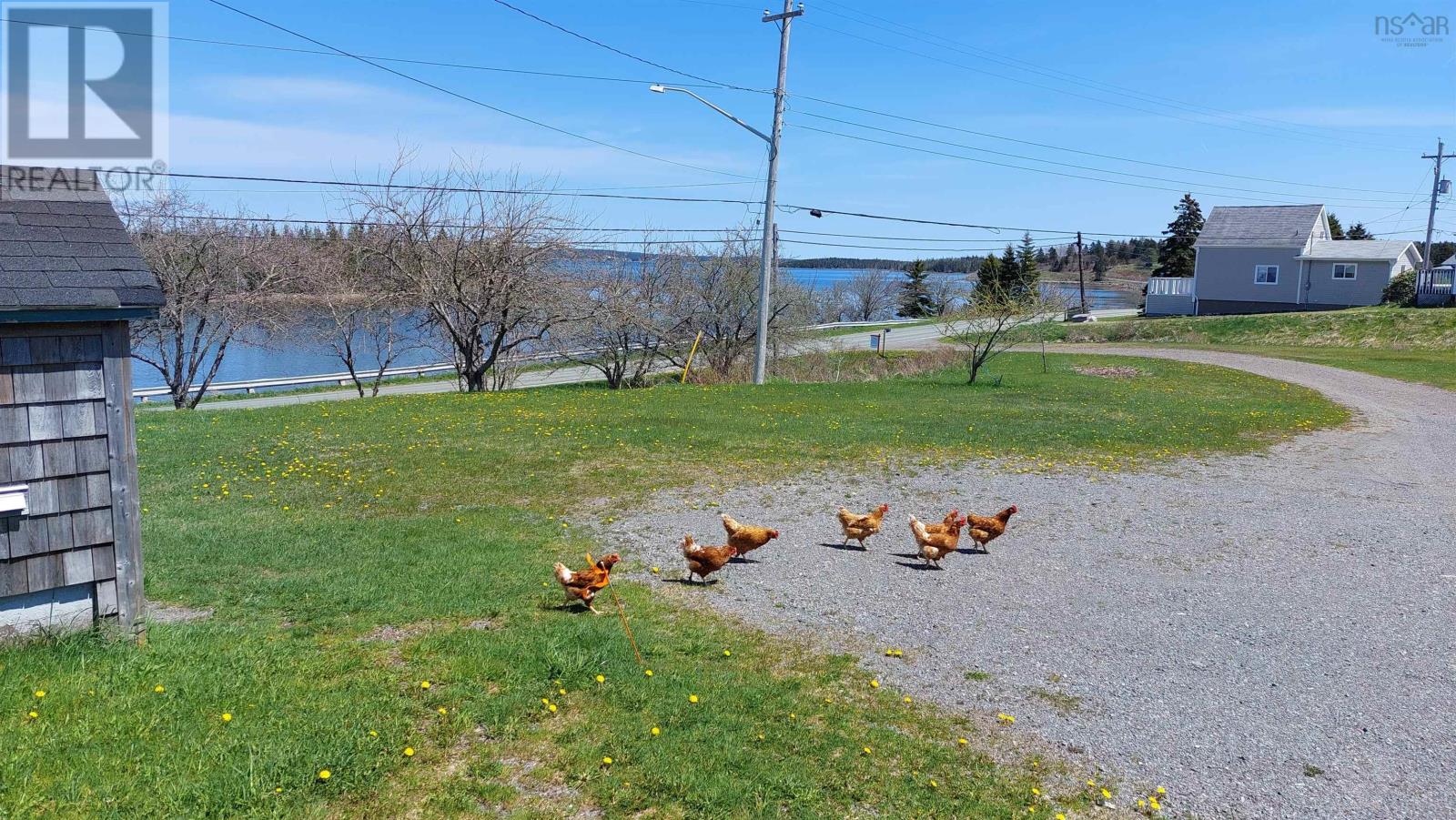 2714 Highway 320, Poulamon, Nova Scotia  B0E 1K0 - Photo 6 - 202422514