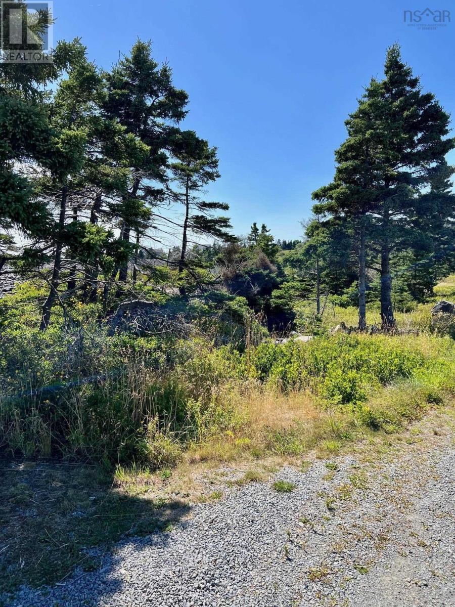 Lot (Pid 70044946) Shore Road, Western Head, Nova Scotia  B0T 1K0 - Photo 17 - 202424055