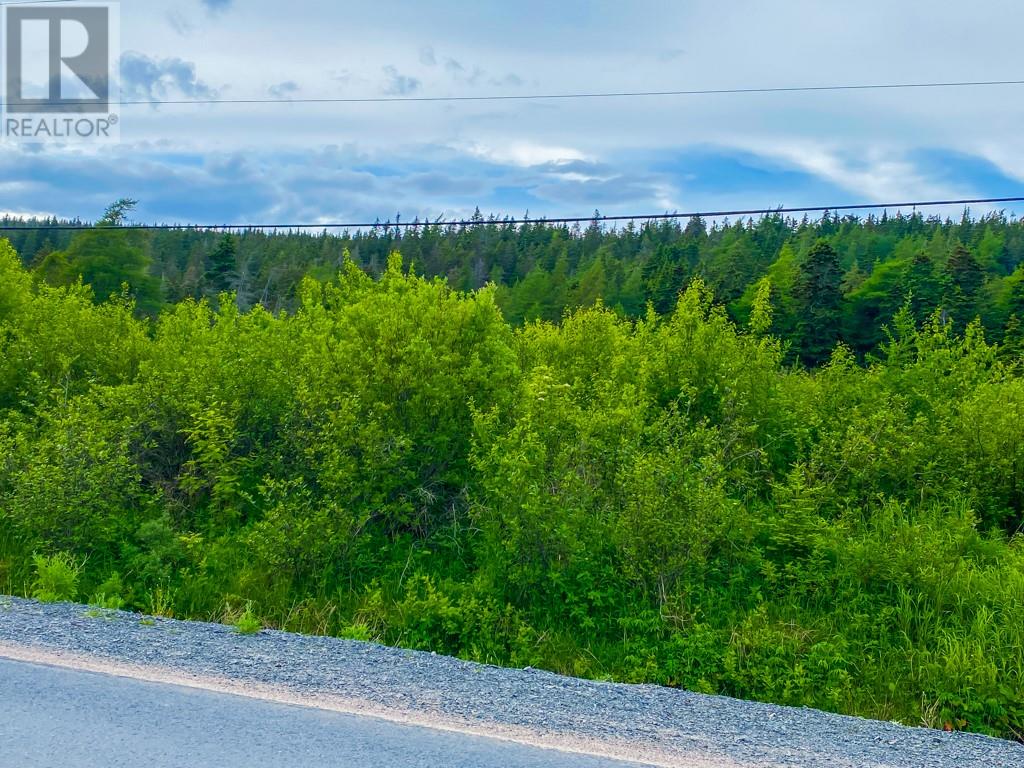 112 Valley Road, Carbonear, Newfoundland & Labrador  A1Y 1A7 - Photo 10 - 1273952