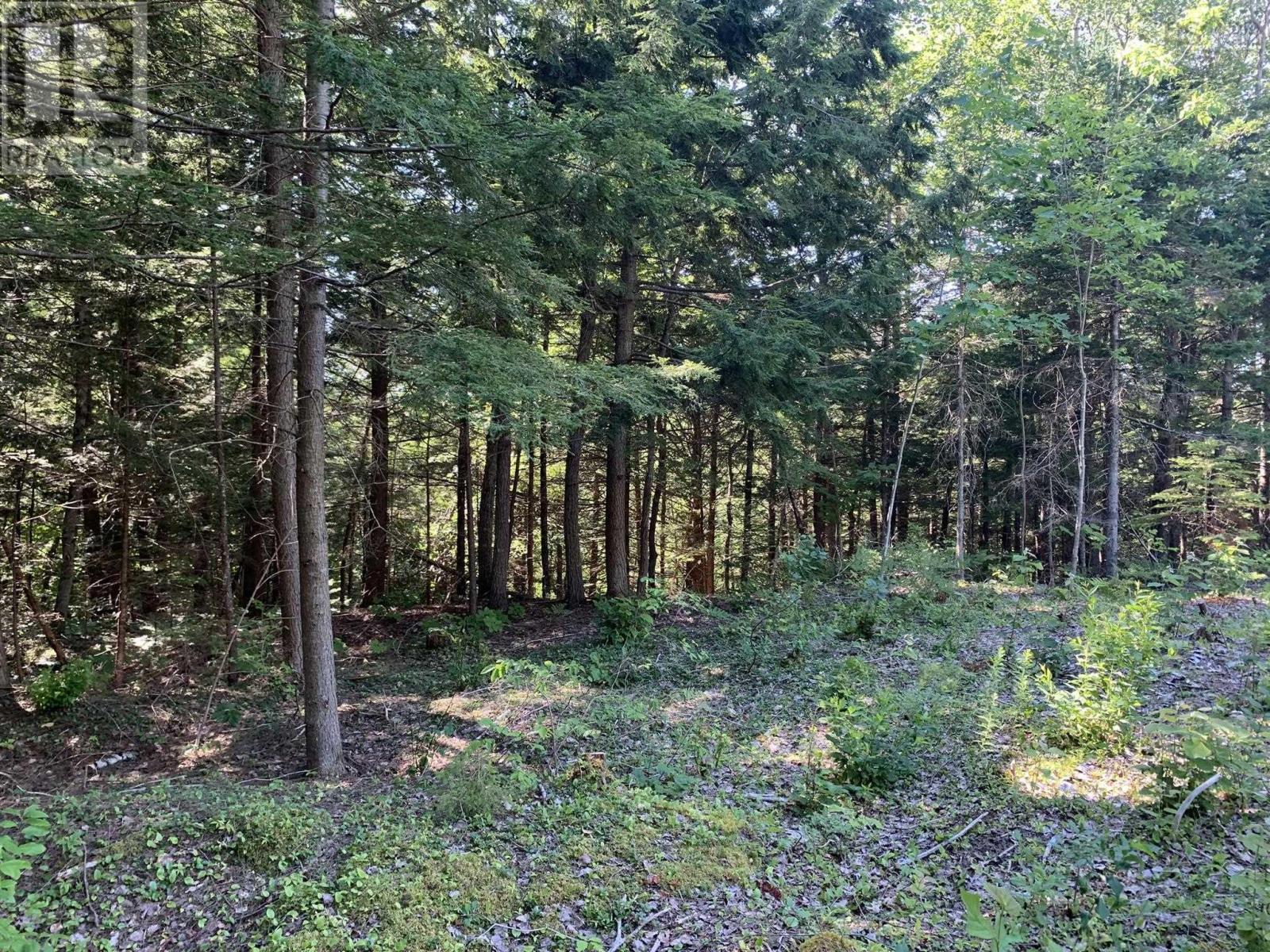 Lot Sunken Lake Road, Deep Hollow, Nova Scotia  B4P 2R2 - Photo 15 - 202417908