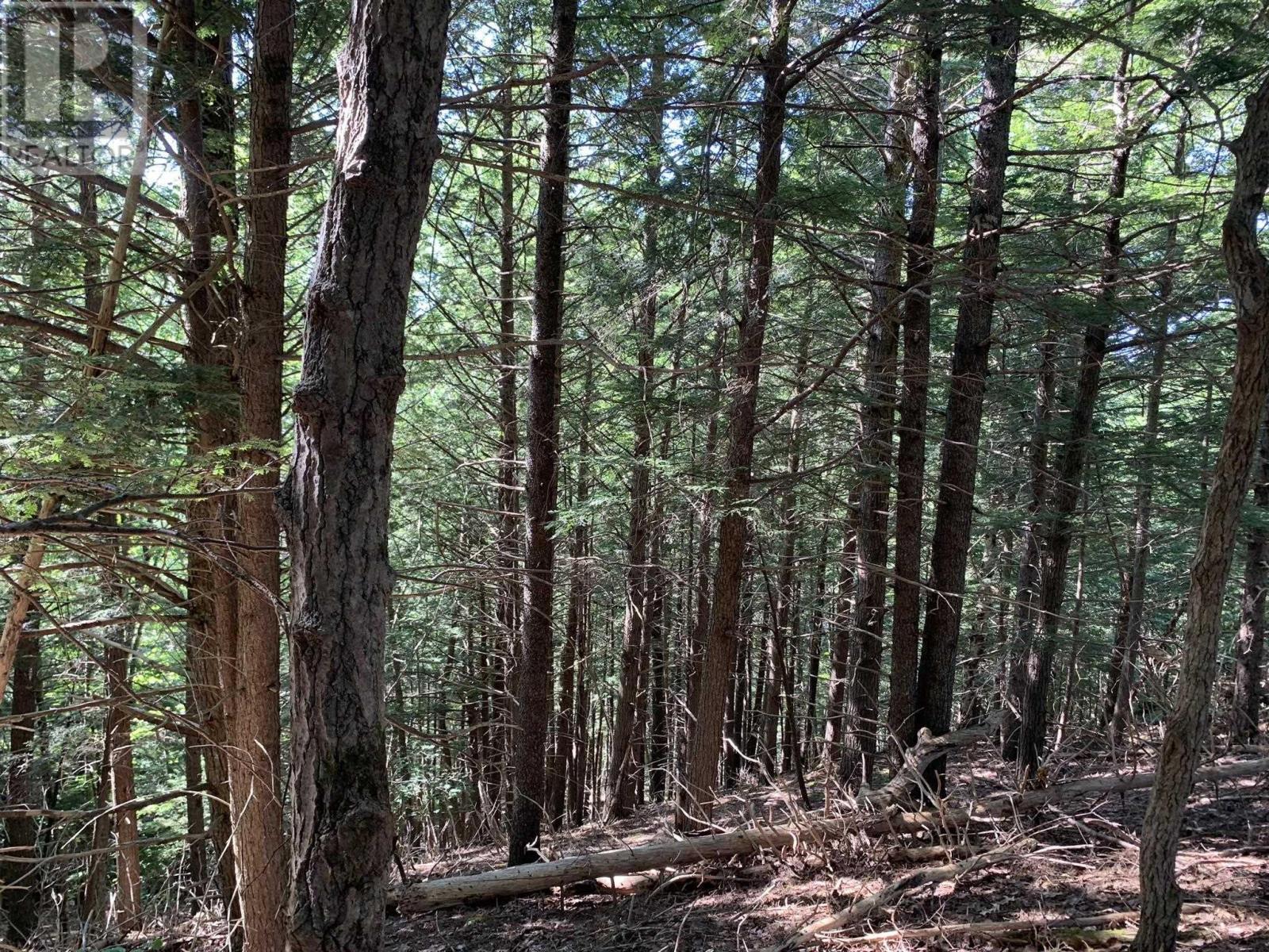 Lot Sunken Lake Road, Deep Hollow, Nova Scotia  B4P 2R2 - Photo 24 - 202417908