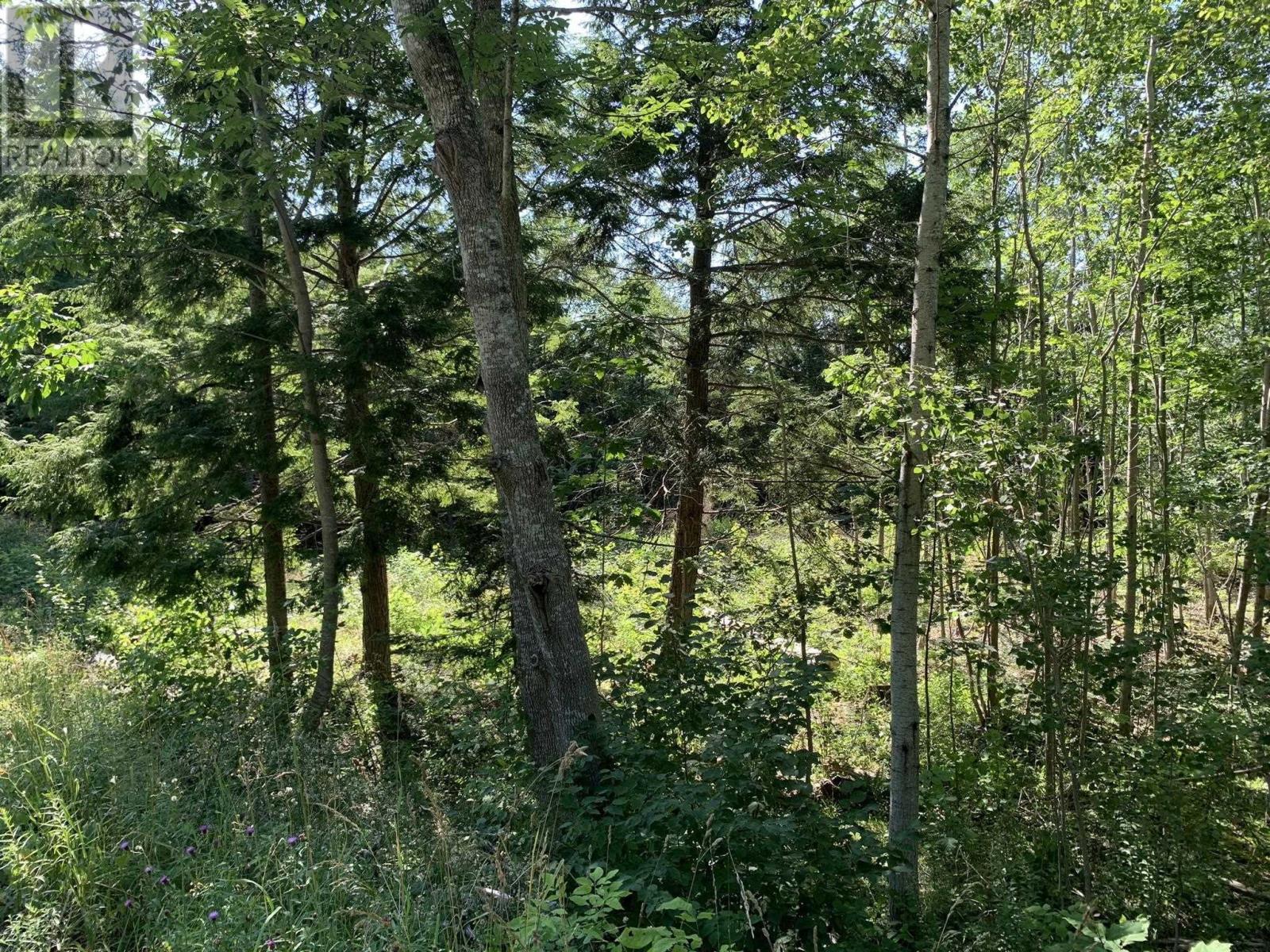 Lot Sunken Lake Road, Deep Hollow, Nova Scotia  B4P 2R2 - Photo 26 - 202417908