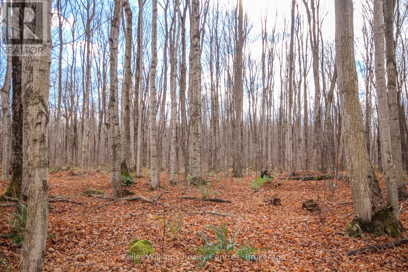 463176 Concession 24 Side Road S, Georgian Bluffs, Ontario  N0H 2T0 - Photo 12 - X11903256
