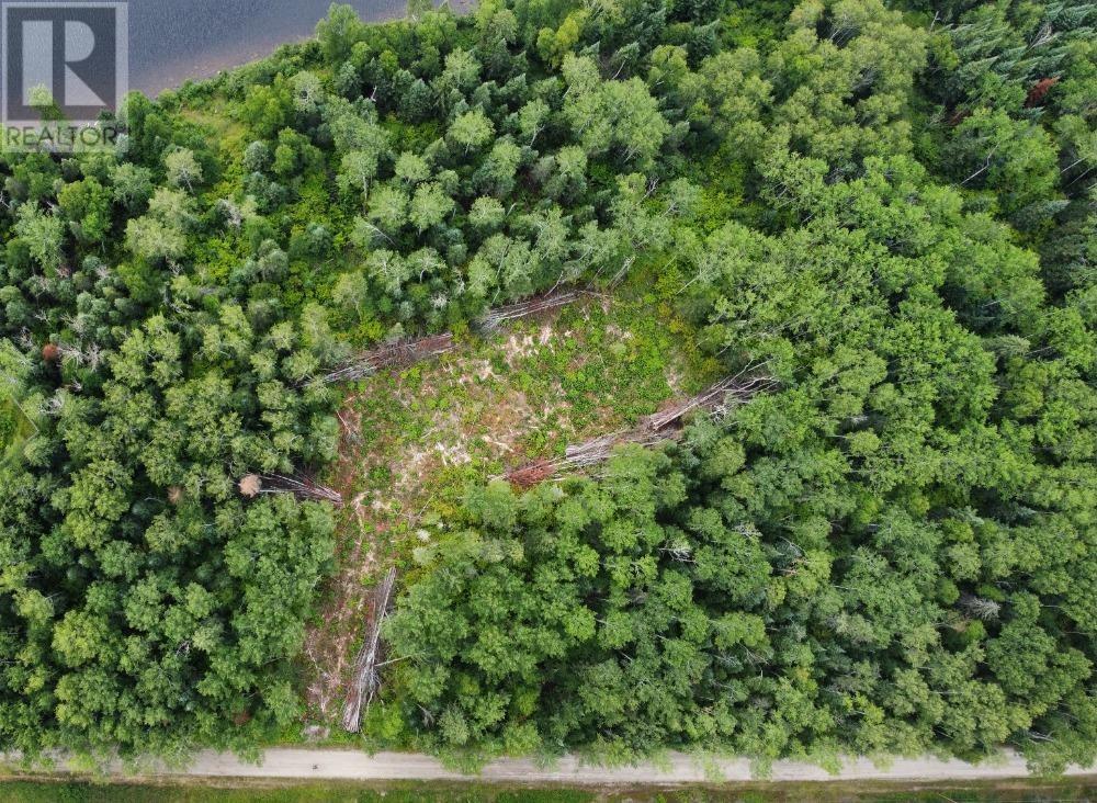 76 Sandy Bay RD, Balmertown, Ontario