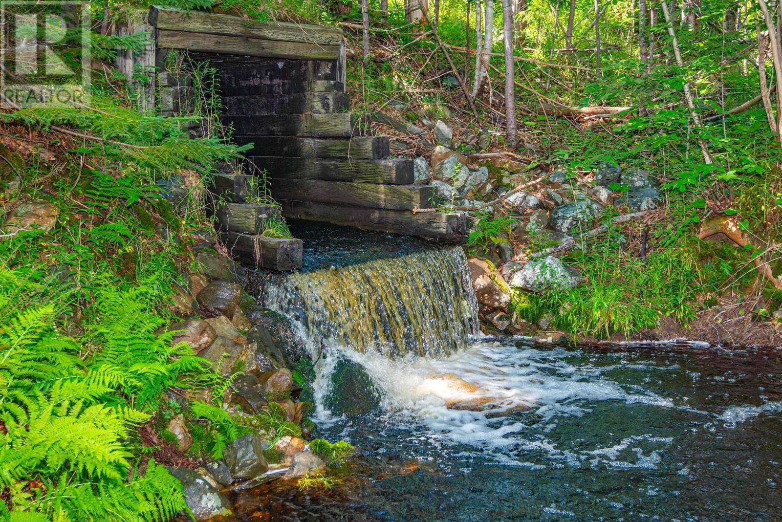 Lot Highway 340, Carleton, Nova Scotia  B5A 5N1 - Photo 6 - 202416376