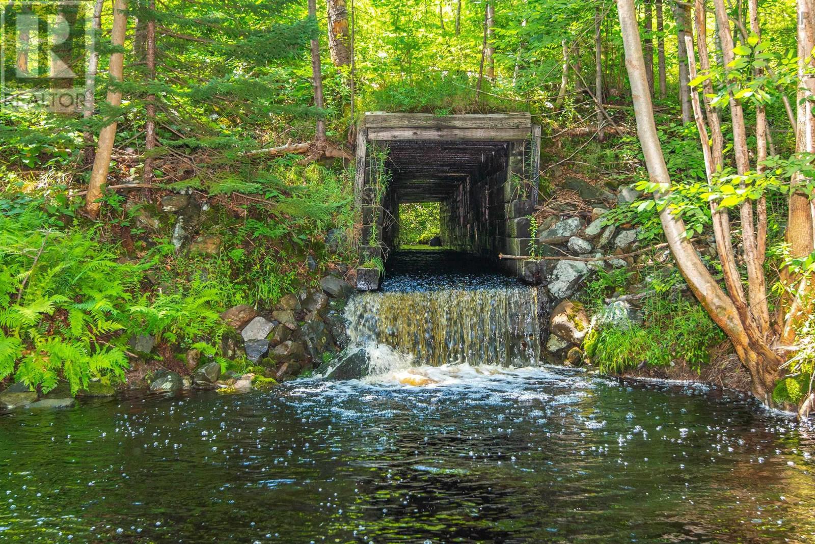 Lot Highway 340, Carleton, Nova Scotia  B5A 5N1 - Photo 7 - 202416376