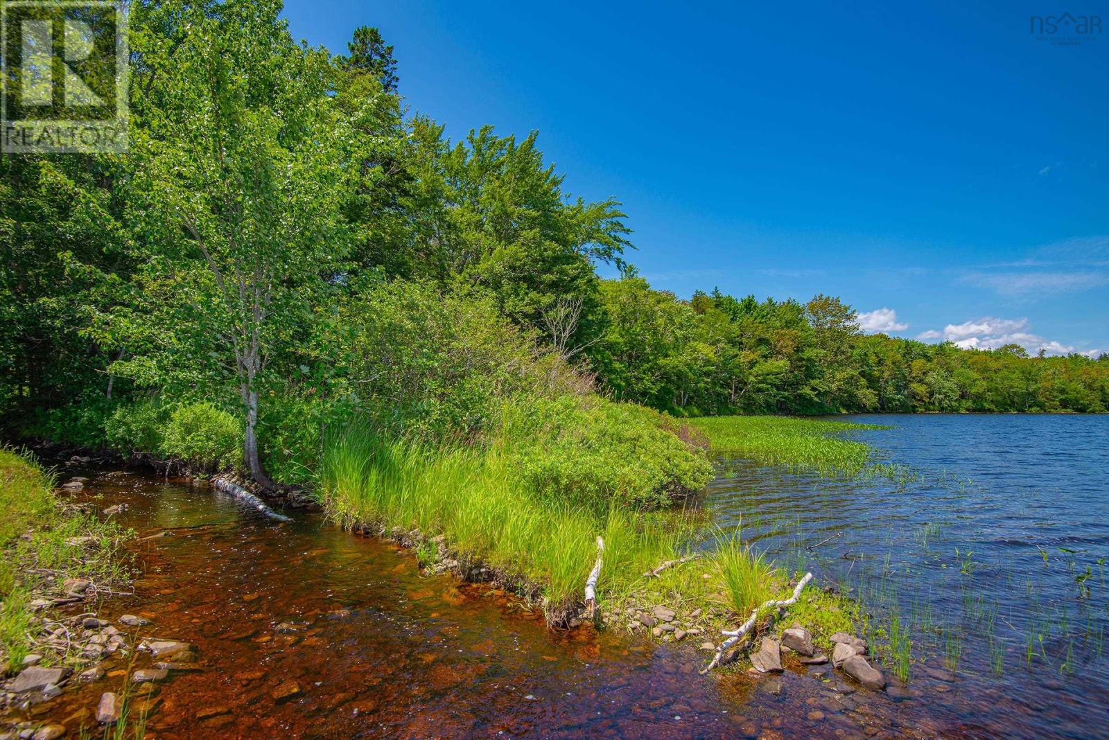 Lot Highway 340, Carleton, Nova Scotia  B5A 5N1 - Photo 9 - 202416376