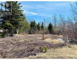 56 Pleasantview Road, Point Leamington, Newfoundland & Labrador