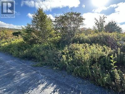16 Penney's Avenue, Salmon Cove, Newfoundland & Labrador  A0A 3S0 - Photo 4 - 1278169