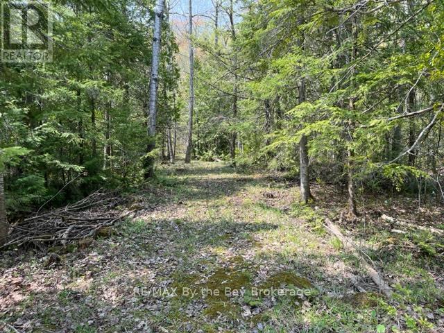 191-193 Mallory Beach Road, South Bruce, Ontario  N0H 2T0 - Photo 6 - X11886597