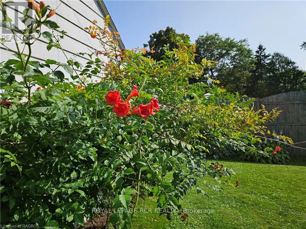 886 16th Street W, Georgian Bluffs, Ontario  N4K 6V5 - Photo 24 - X10846750