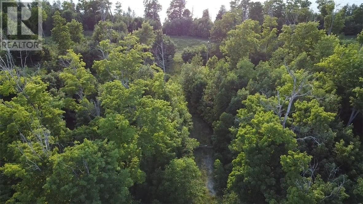 Lot 3 Green Bay Shores, Nemi, Ontario  P0P 1K0 - Photo 8 - 2117535