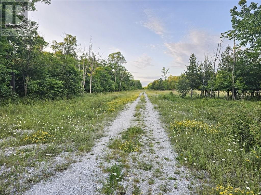 Lot 4 Green Bay Shores, Nemi, Ontario  P0P 1K0 - Photo 12 - 2117536