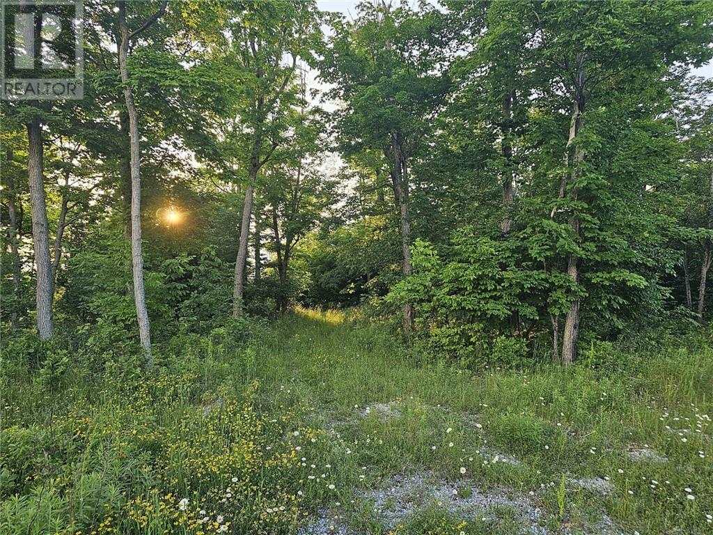 Lot 4 Green Bay Shores, Nemi, Ontario  P0P 1K0 - Photo 14 - 2117536