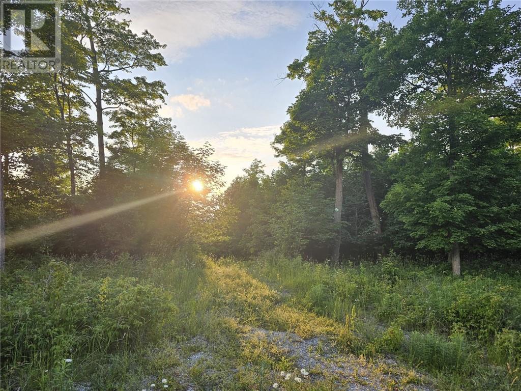 Lot 4 Green Bay Shores, Nemi, Ontario  P0P 1K0 - Photo 15 - 2117536