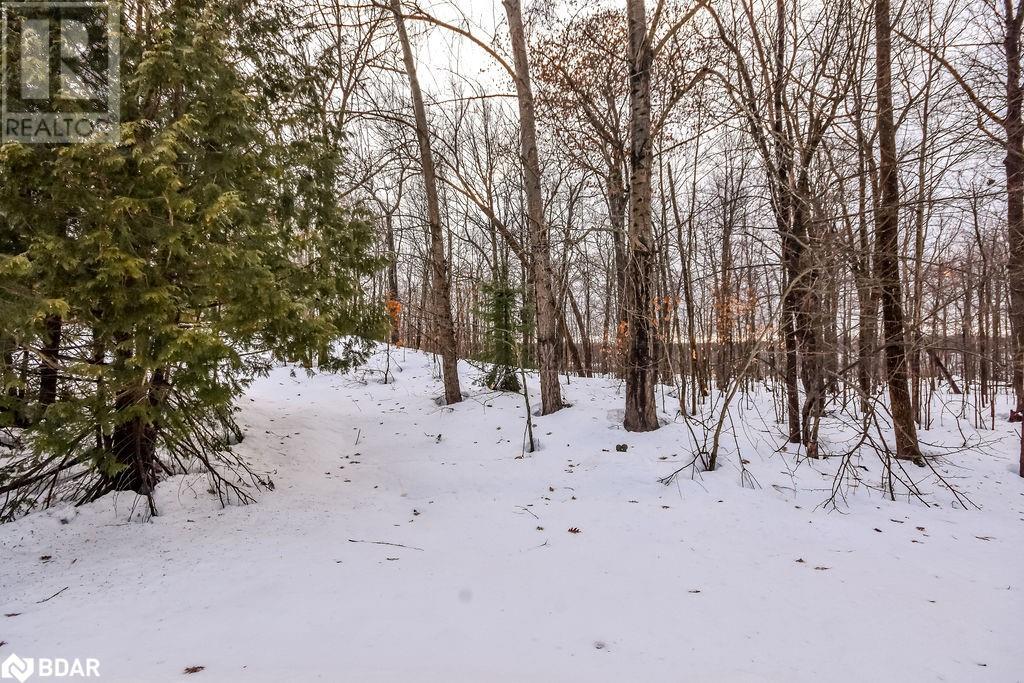 105 Pine Ridge Gt, Gravenhurst, Ontario  P1P 1Z2 - Photo 35 - 40686966