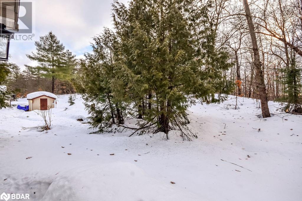 105 Pine Ridge Gt, Gravenhurst, Ontario  P1P 1Z2 - Photo 36 - 40686966