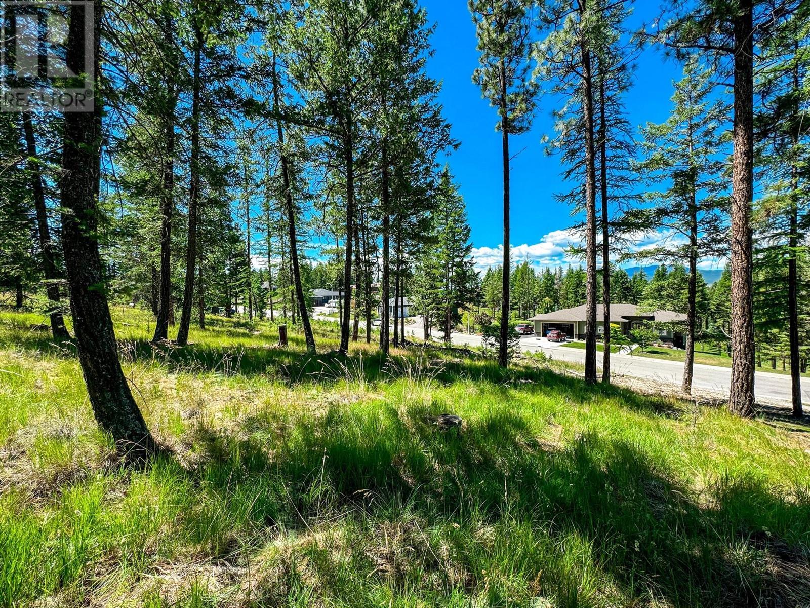 1608 Mount Royal Peak, Cranbrook, British Columbia  V1C 0C4 - Photo 11 - 2478009