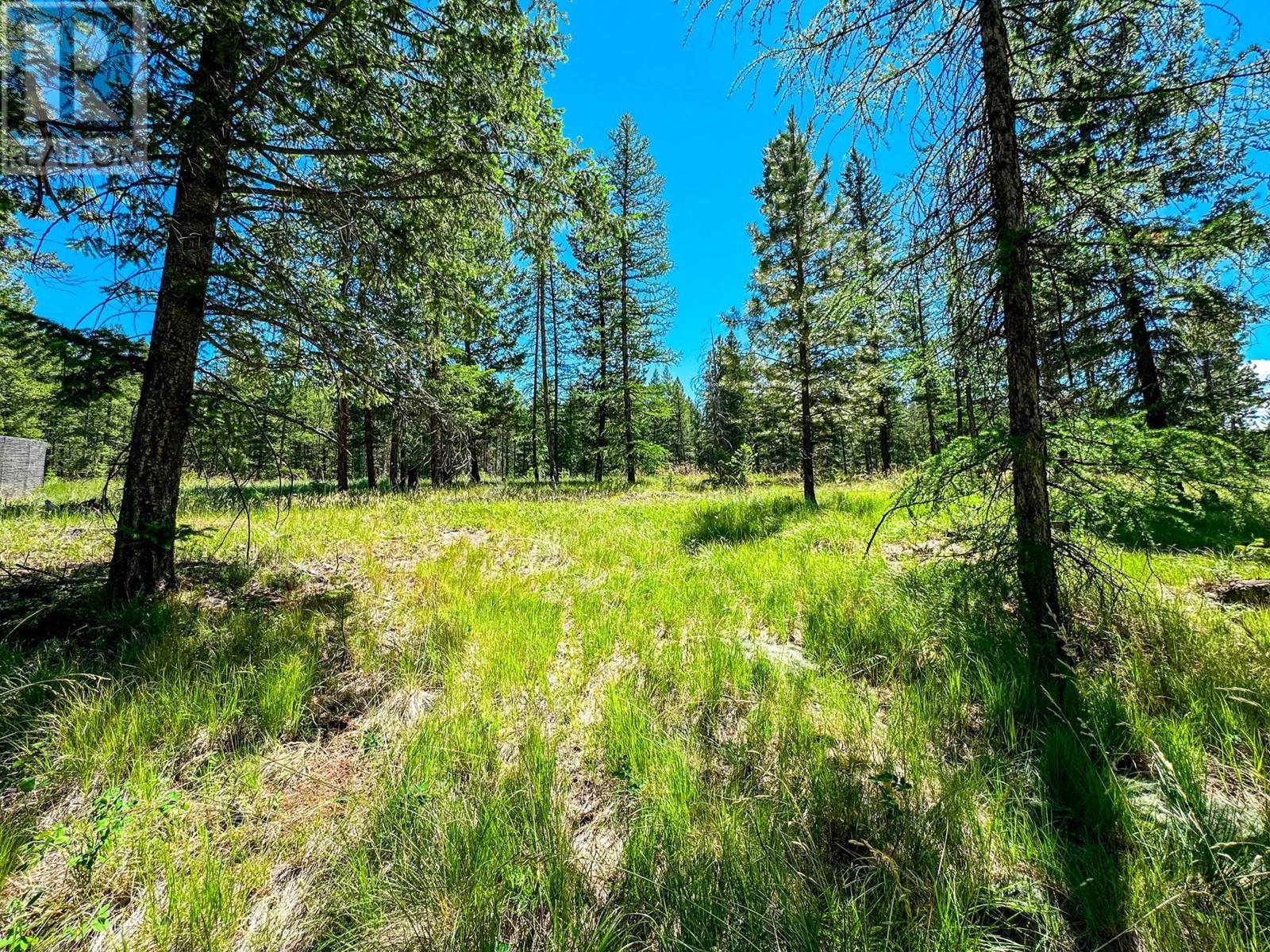 1608 Mount Royal Peak, Cranbrook, British Columbia  V1C 0C4 - Photo 6 - 2478009