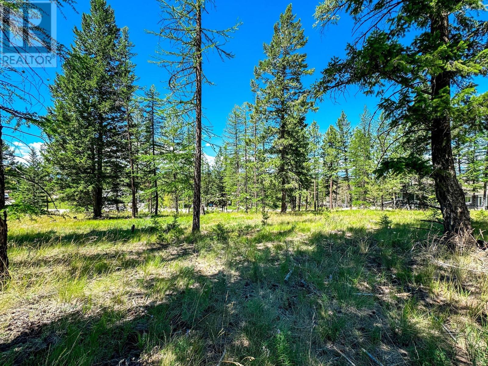 1608 Mount Royal Peak, Cranbrook, British Columbia  V1C 0C4 - Photo 8 - 2478009