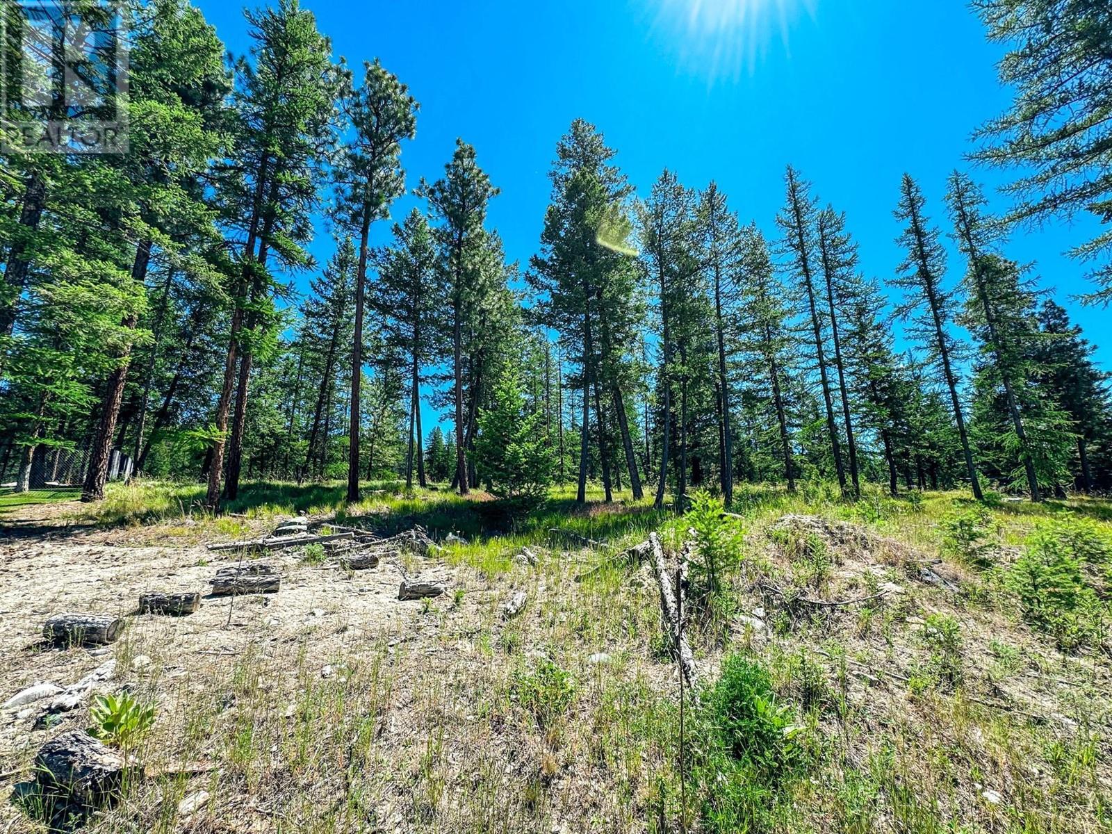 1608 Mount Royal Peak, Cranbrook, British Columbia  V1C 0C4 - Photo 3 - 2478009