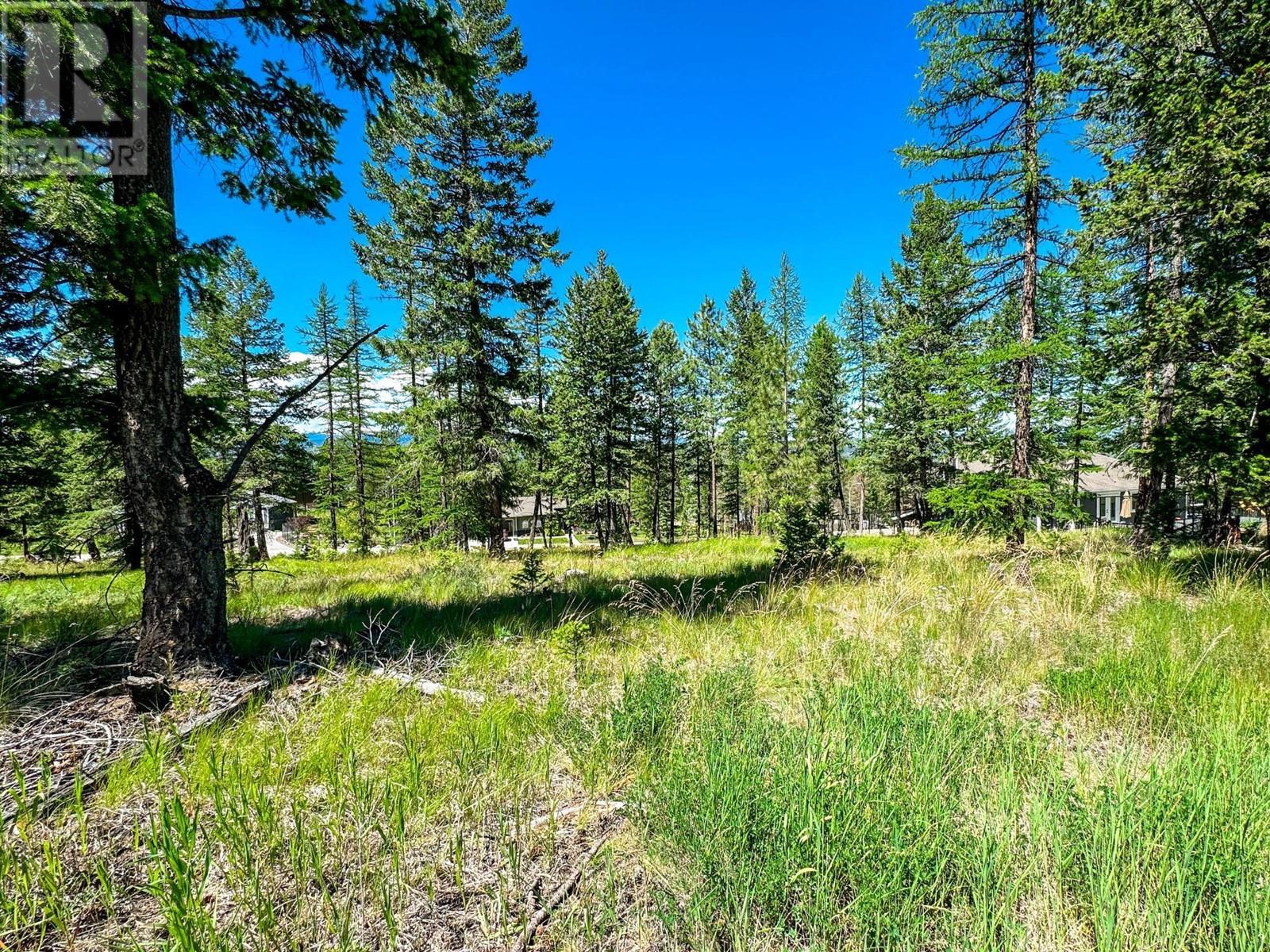 1608 Mount Royal Peak, Cranbrook, British Columbia  V1C 0C4 - Photo 9 - 2478009