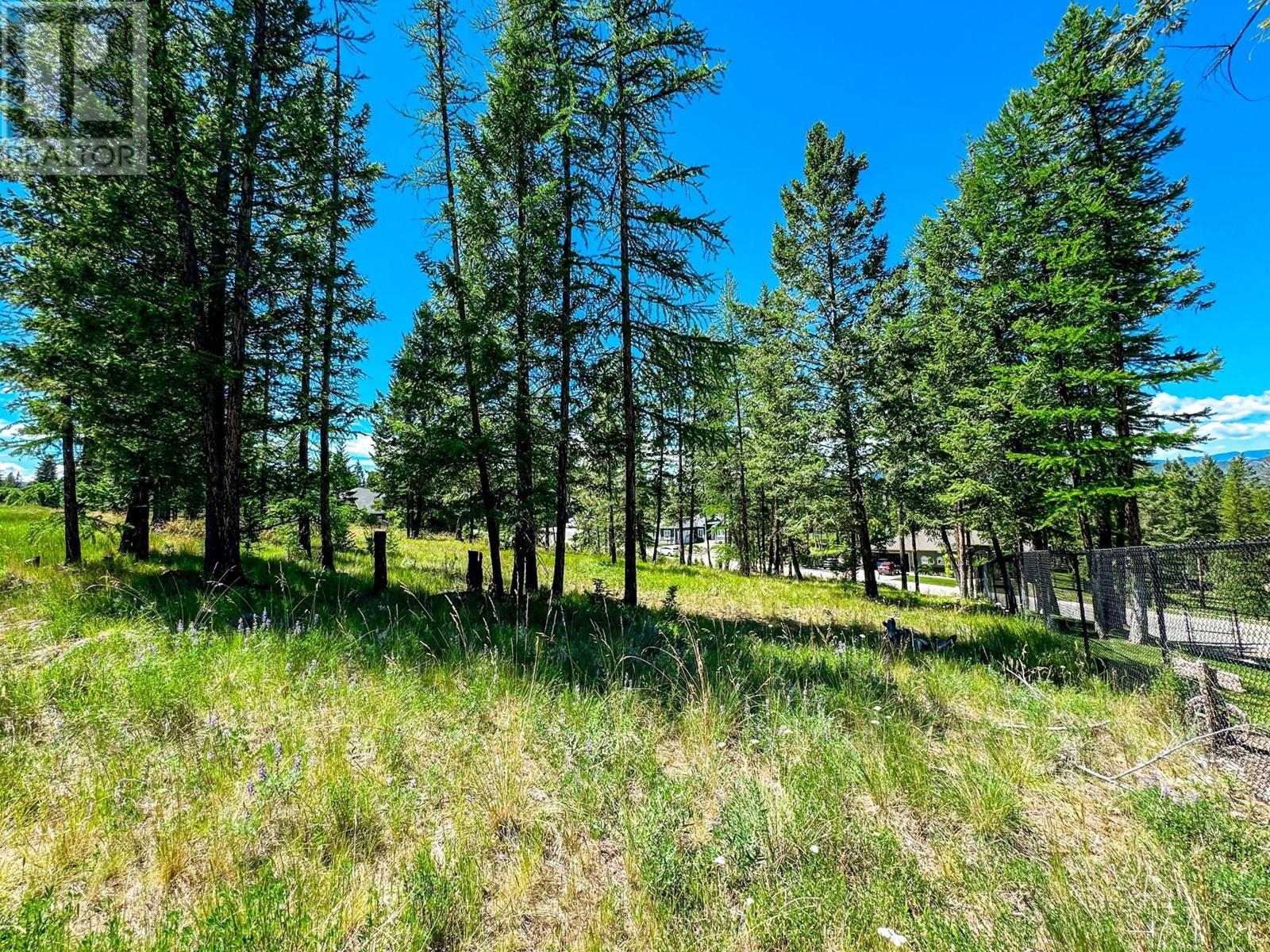 1608 Mount Royal Peak, Cranbrook, British Columbia  V1C 0C4 - Photo 10 - 2478009