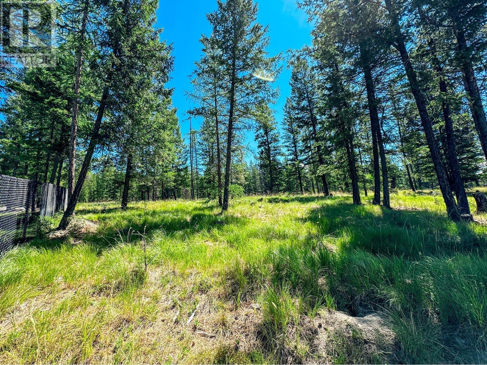 1608 Mount Royal Peak, Cranbrook, British Columbia  V1C 0C4 - Photo 5 - 2478009