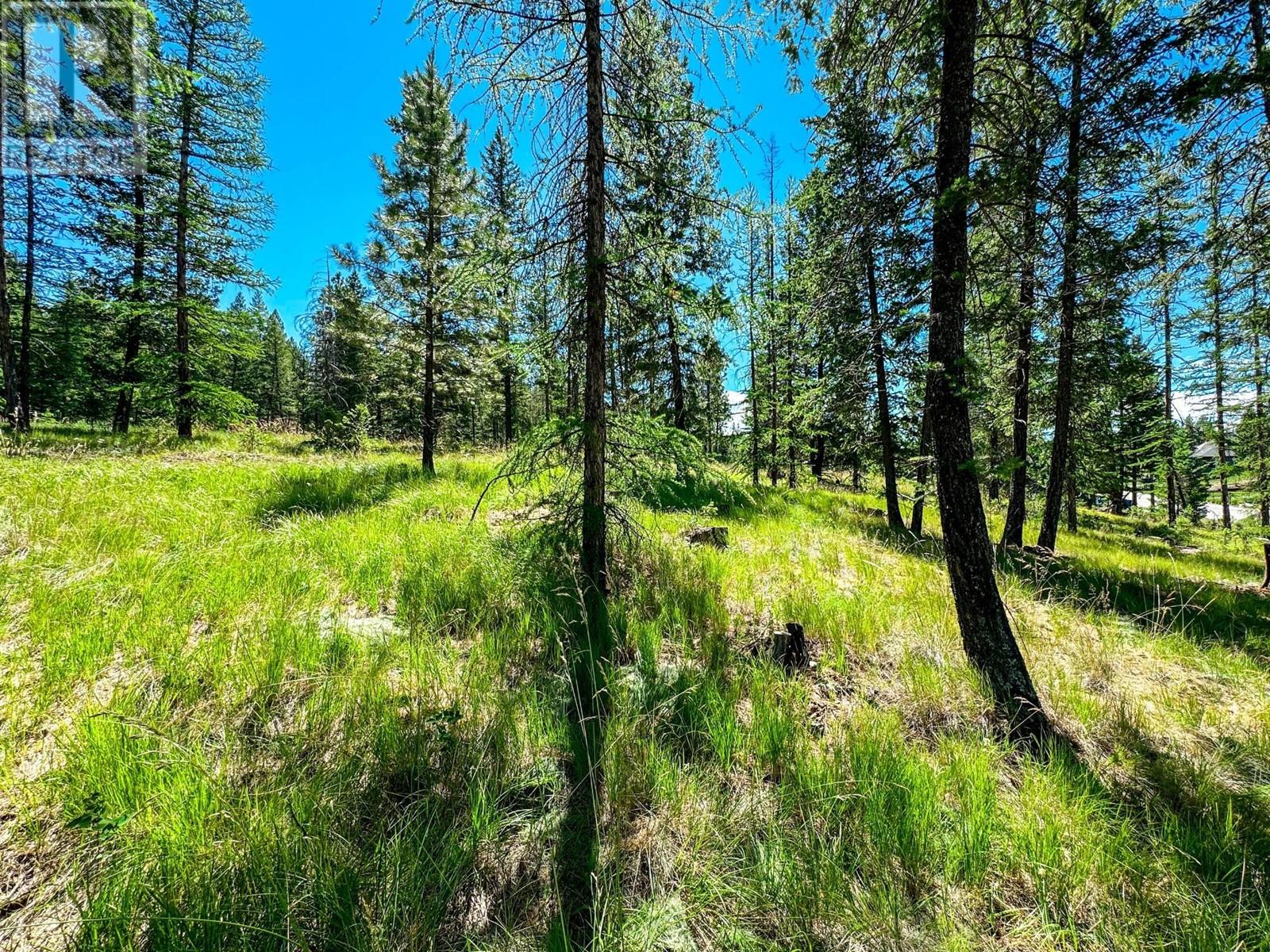 1608 Mount Royal Peak, Cranbrook, British Columbia  V1C 0C4 - Photo 7 - 2478009