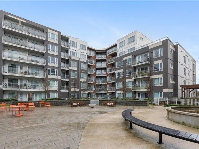 503 10581 140 Street, Surrey, British Columbia  V3T 0M7 - Photo 25 - R2951687