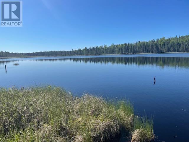 0 Tapio Lake (No Fire #) Rd, Jacques Township, Ontario  P7G 0Y3 - Photo 3 - TB241681