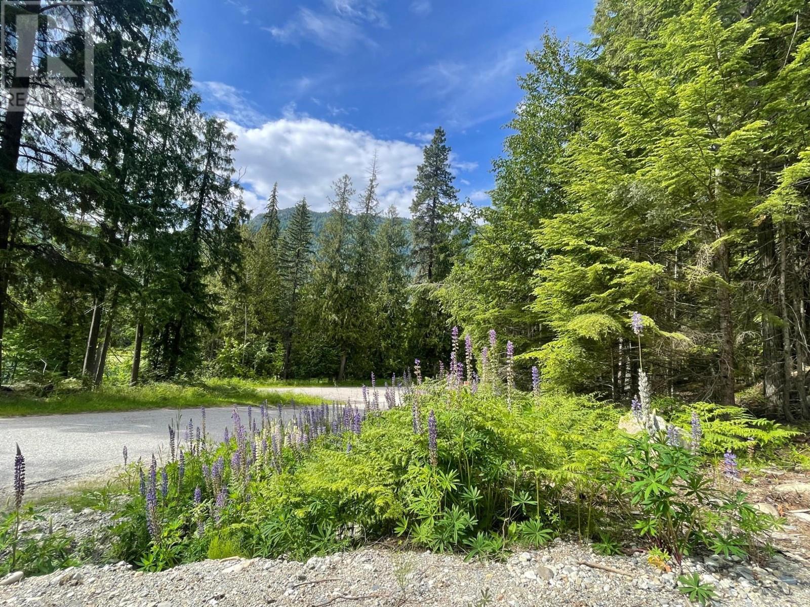 Lot 2 Selkirk Road, Crawford Bay, British Columbia  V0B 1B0 - Photo 8 - 2475444