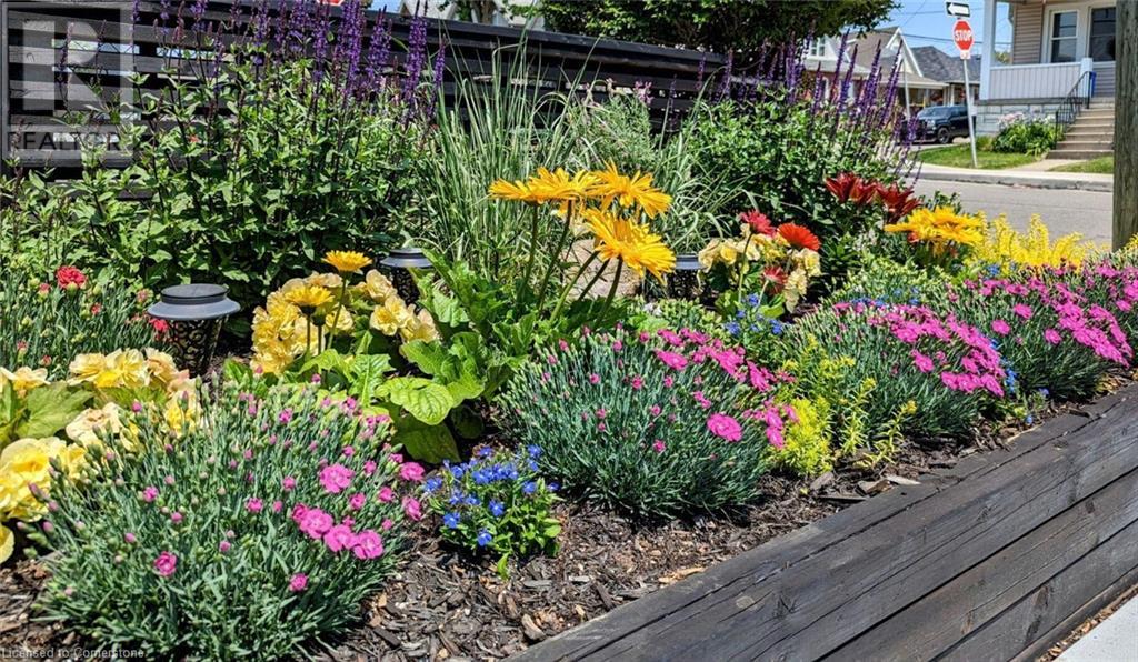 45 Robins Avenue, Hamilton, Ontario  L8H 4N1 - Photo 3 - 40686820