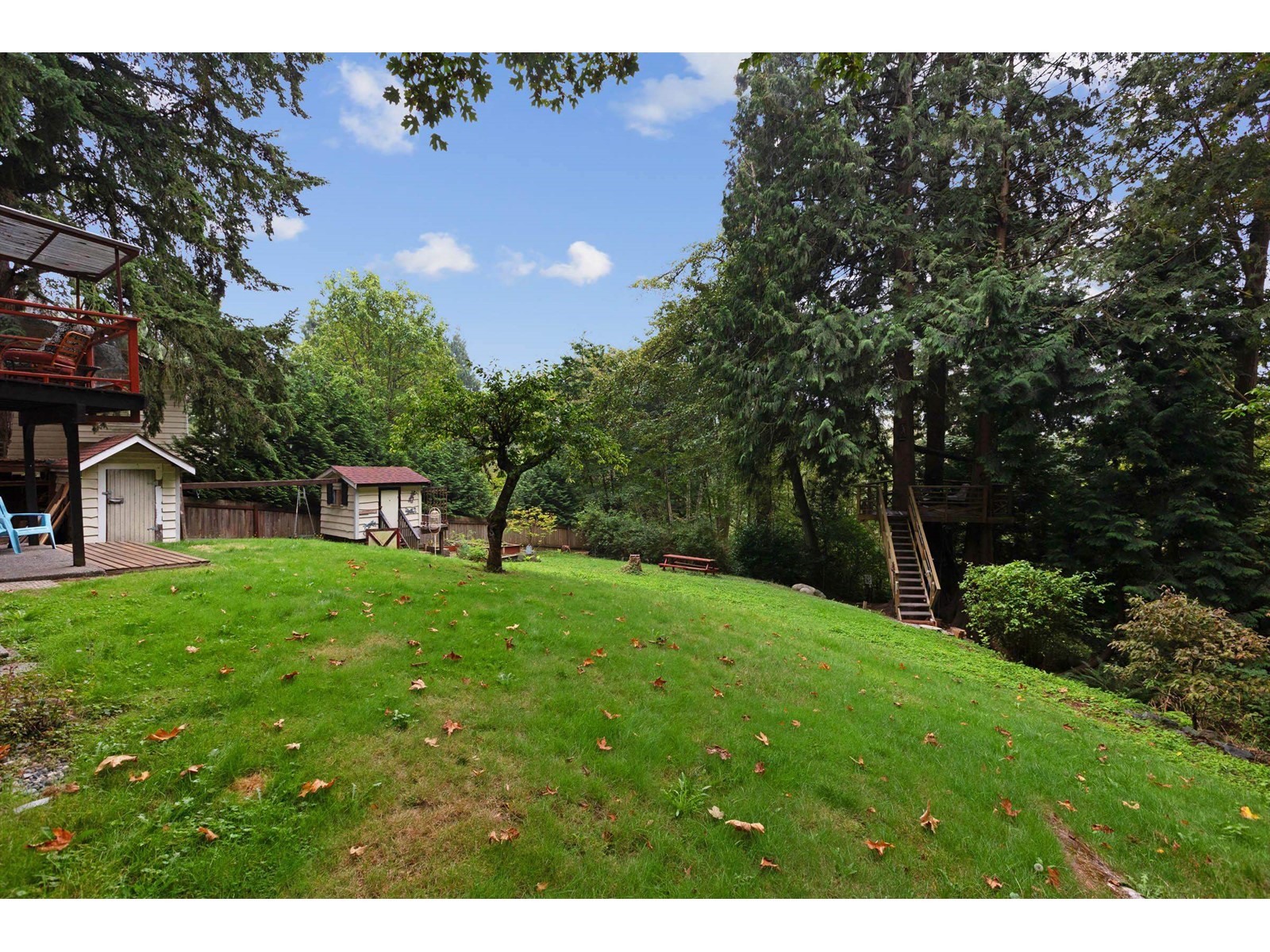 14066 Trites Road, Surrey, British Columbia  V3X 3E8 - Photo 33 - R2951889