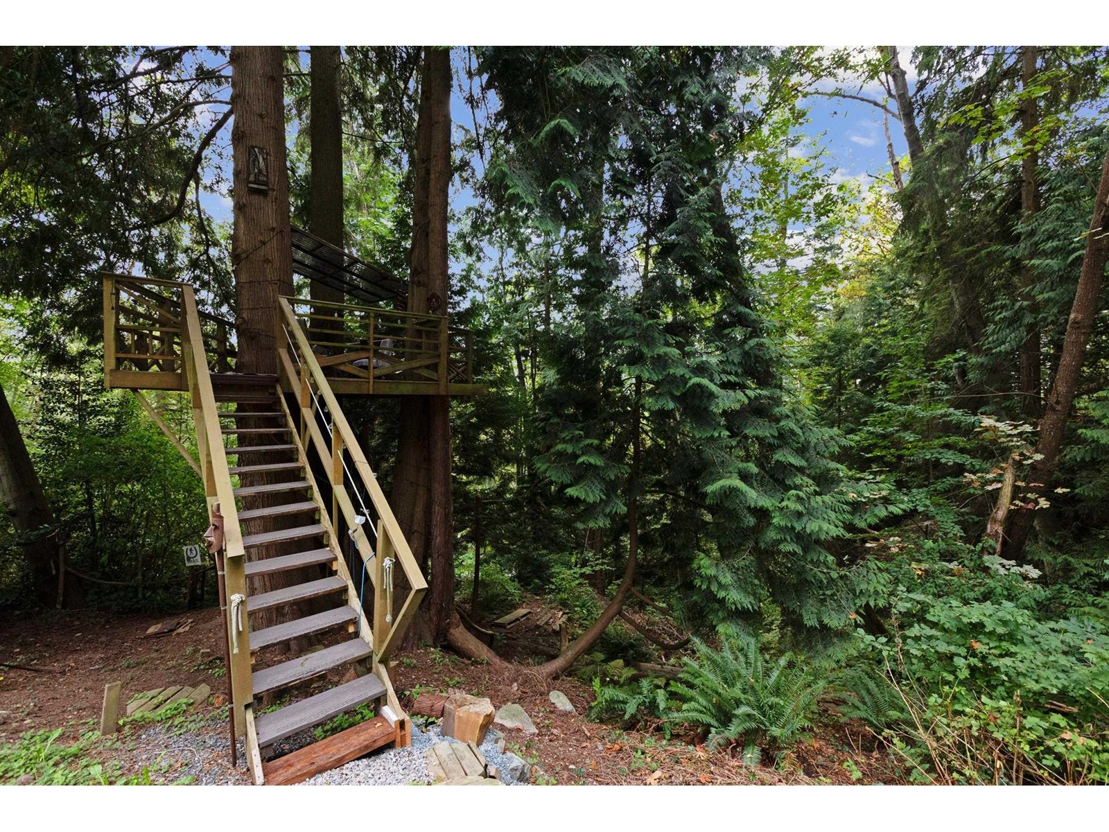 14066 Trites Road, Surrey, British Columbia  V3X 3E8 - Photo 30 - R2951889