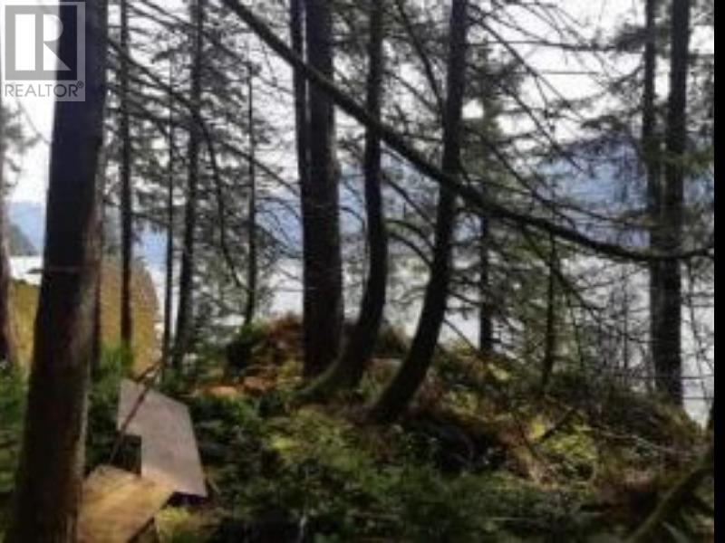 5 Hodgins Harbour, Pitt Meadows, British Columbia V0V 0V0 - Photo 13 - R2941687