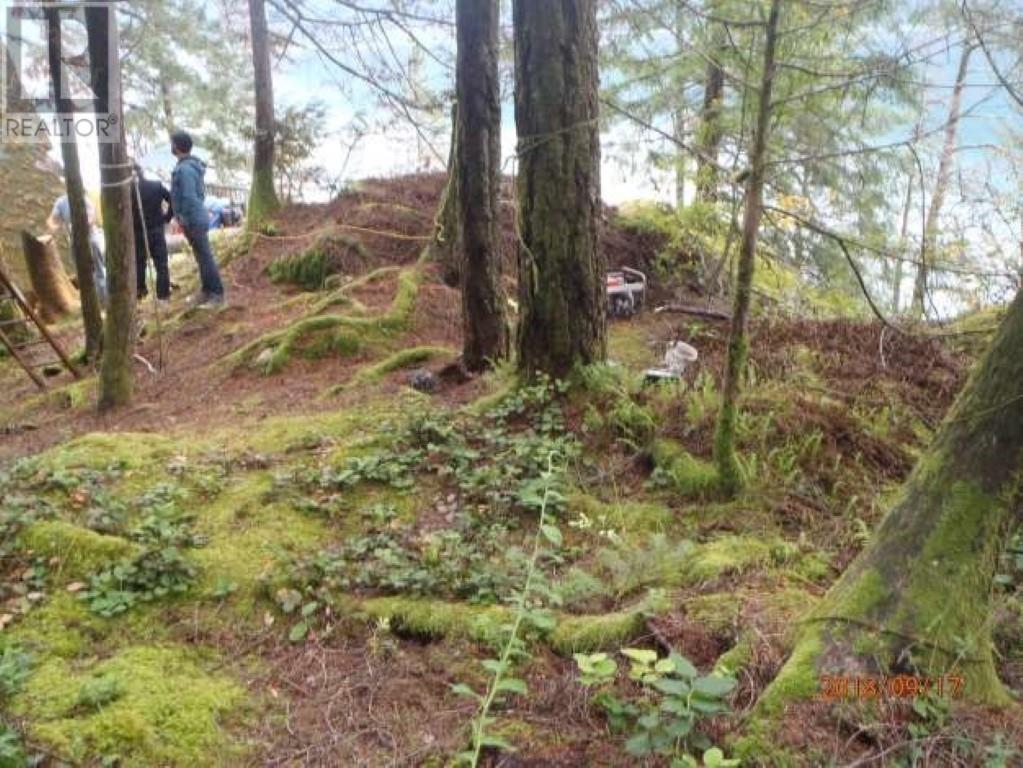 5 Hodgins Harbour, Pitt Meadows, British Columbia V0V 0V0 - Photo 9 - R2941687