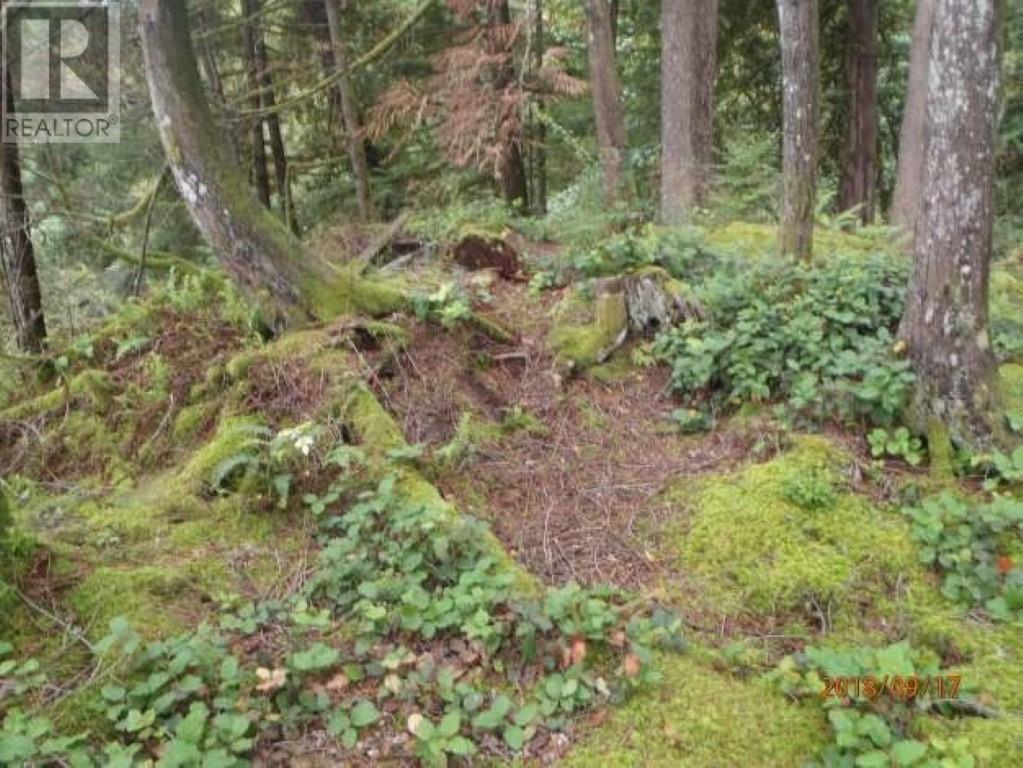 5 Hodgins Harbour, Pitt Meadows, British Columbia V0V 0V0 - Photo 8 - R2941687