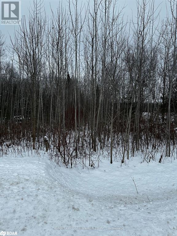 6155 Concession 2 Road, Stayner, Ontario  L0M 1N0 - Photo 1 - 40687181