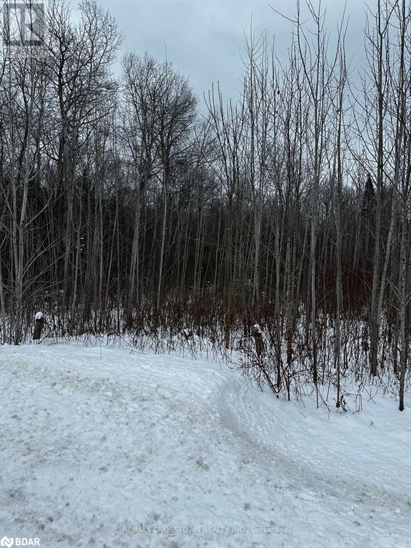 6155 Concession 2 Road, Stayner, Ontario  L0M 1N0 - Photo 2 - 40687181