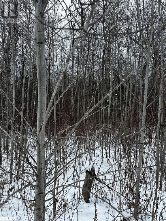 6155 Concession 2 Road, Stayner, Ontario  L0M 1N0 - Photo 4 - 40687181