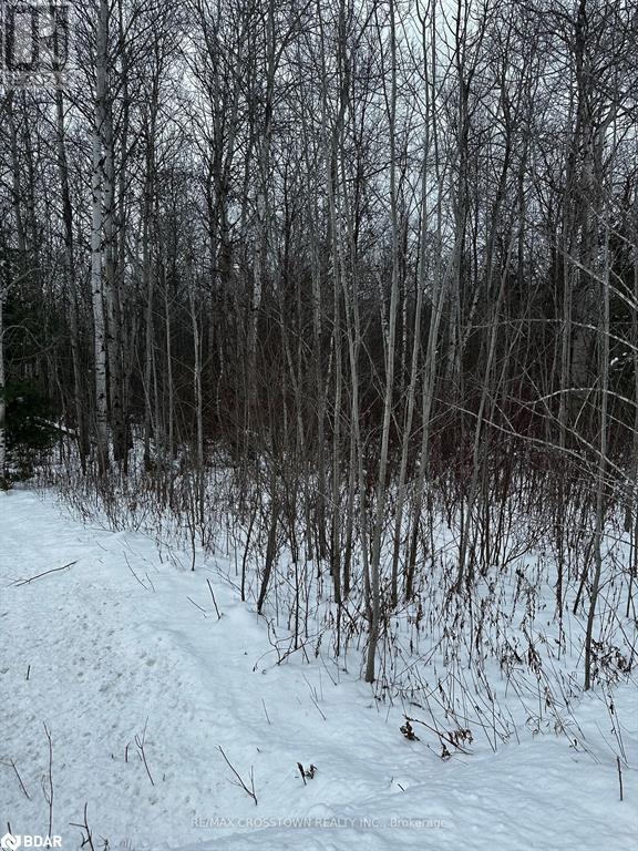 6155 Concession 2 Road, Stayner, Ontario  L0M 1N0 - Photo 5 - 40687181