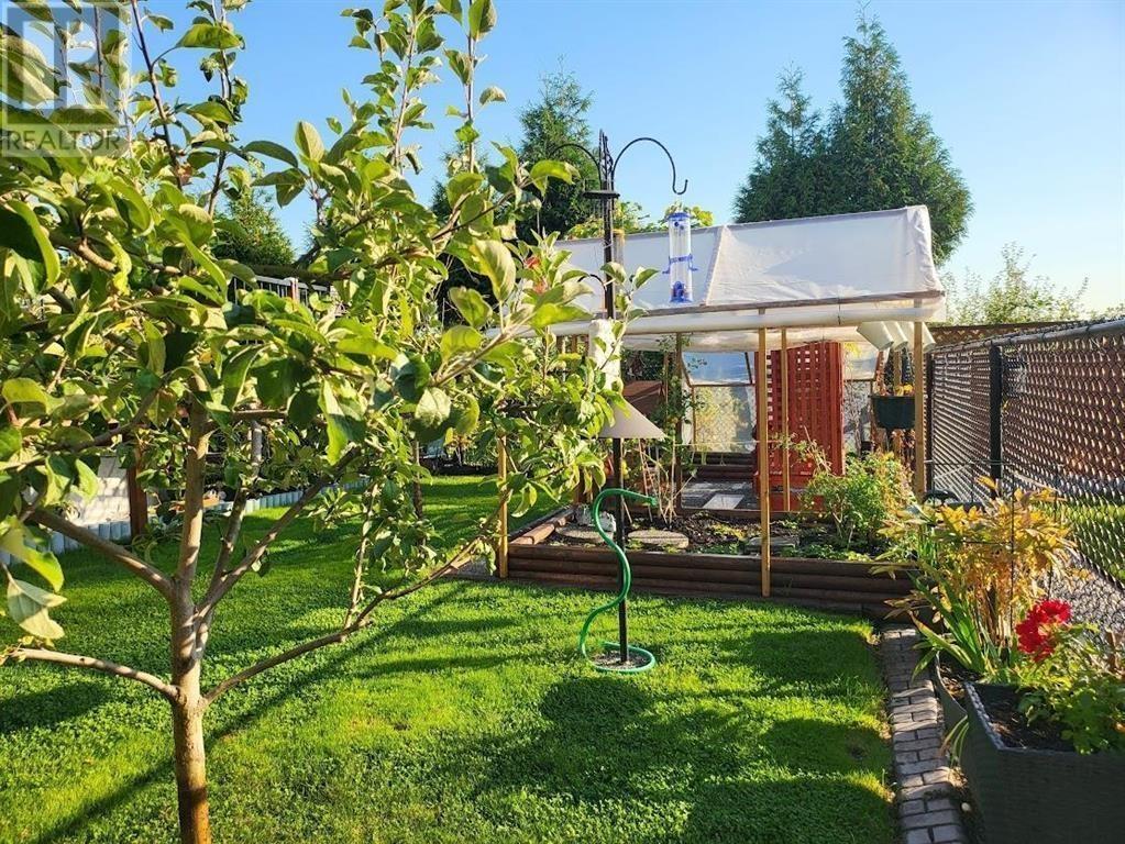 19646 Joyner Place, Pitt Meadows, British Columbia  V3Y 2S3 - Photo 4 - R2951990