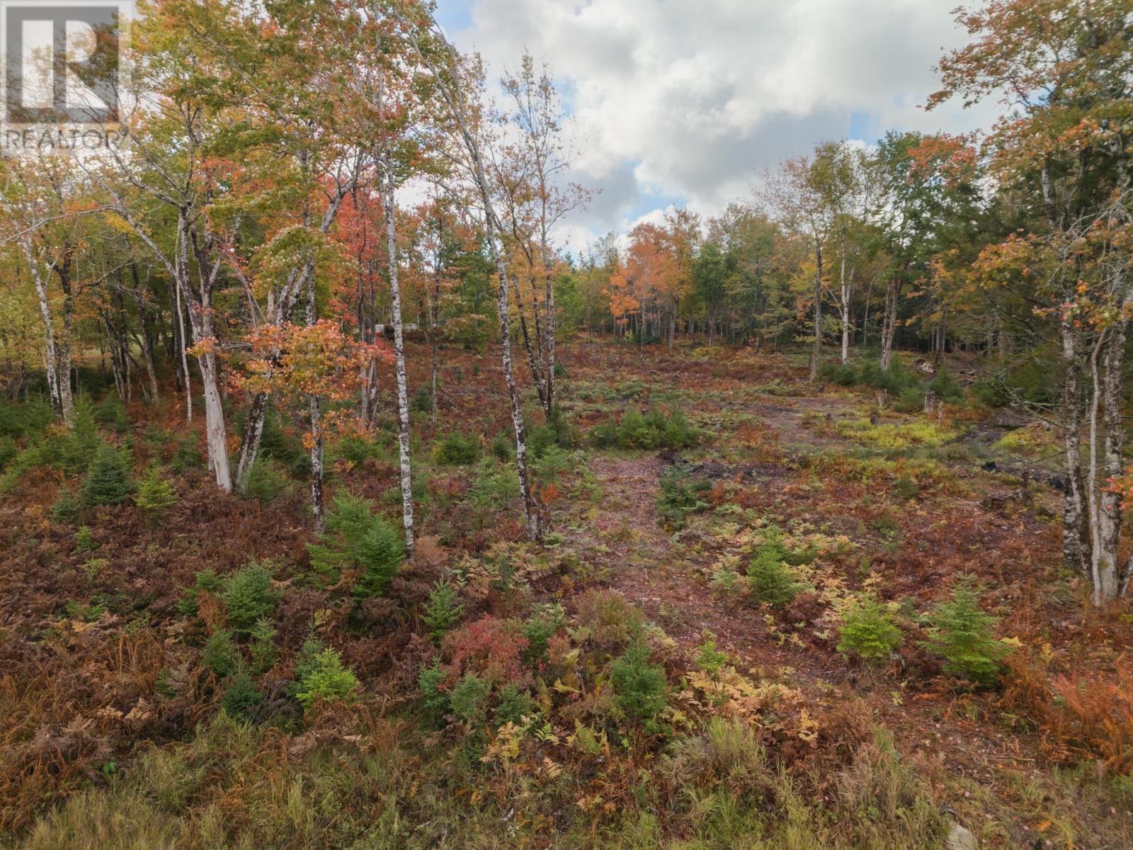 Lot 5 Cranberry Lane, Gardners Mills, Nova Scotia  B5A 5N5 - Photo 12 - 202426778