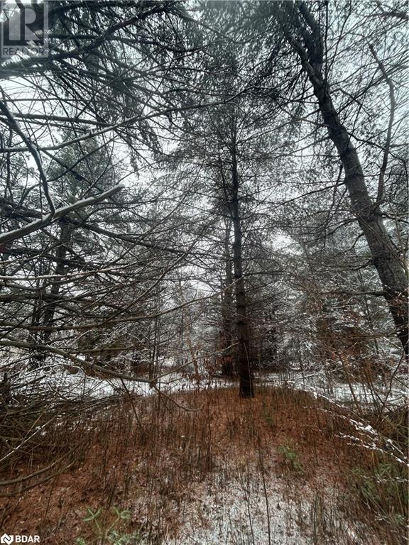 00 Skootamatta Lane, Tweed, Ontario  K0K 3J0 - Photo 10 - 40687037