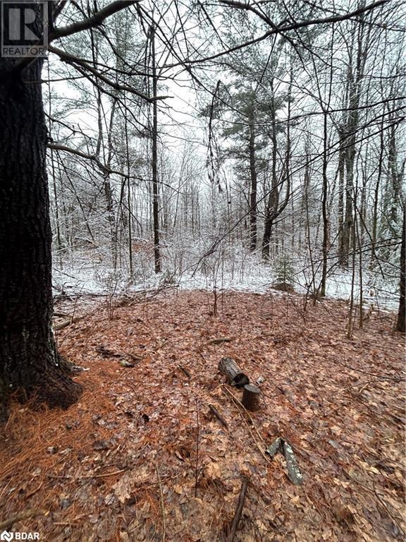 00 Skootamatta Lane, Tweed, Ontario  K0K 3J0 - Photo 11 - 40687037